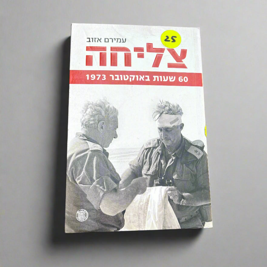צליחה/עמירם אזוב