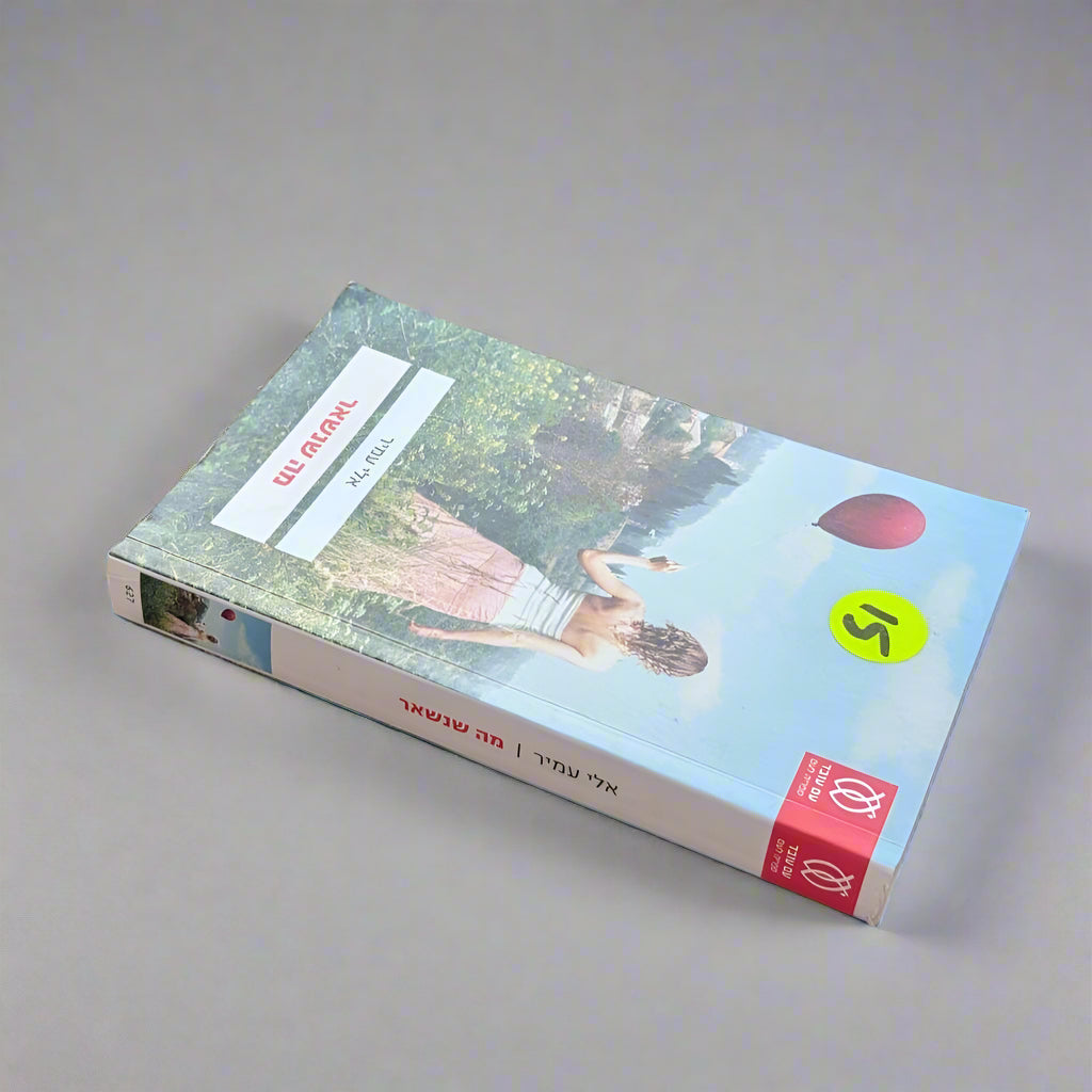 מה שנשאר/אלי עמיר