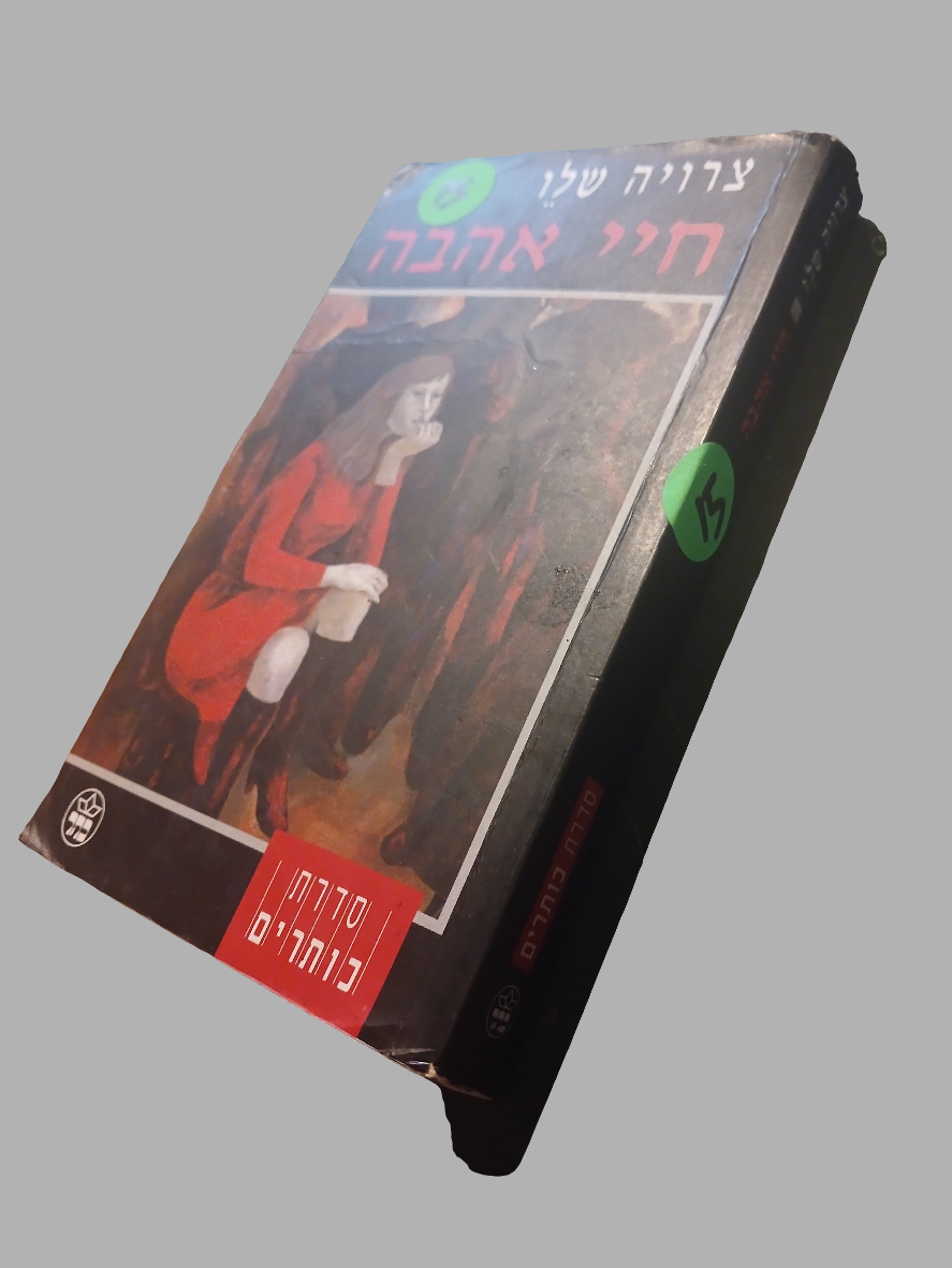 צרויה שלו / חיי אהבה