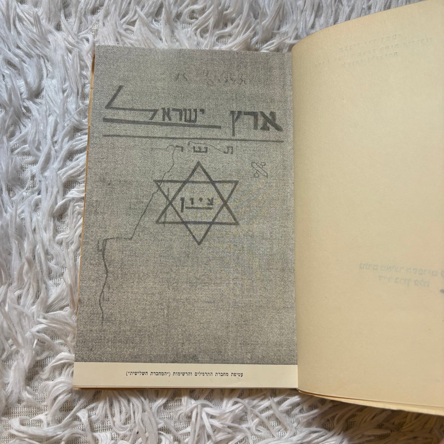 הנער משה : יומנו של משה פלינקר / משה פלינקר