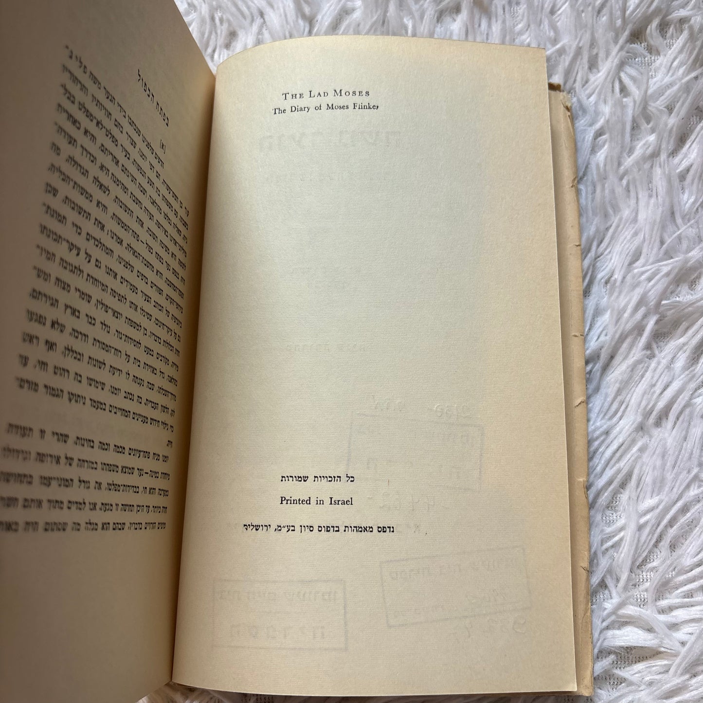 הנער משה : יומנו של משה פלינקר / משה פלינקר