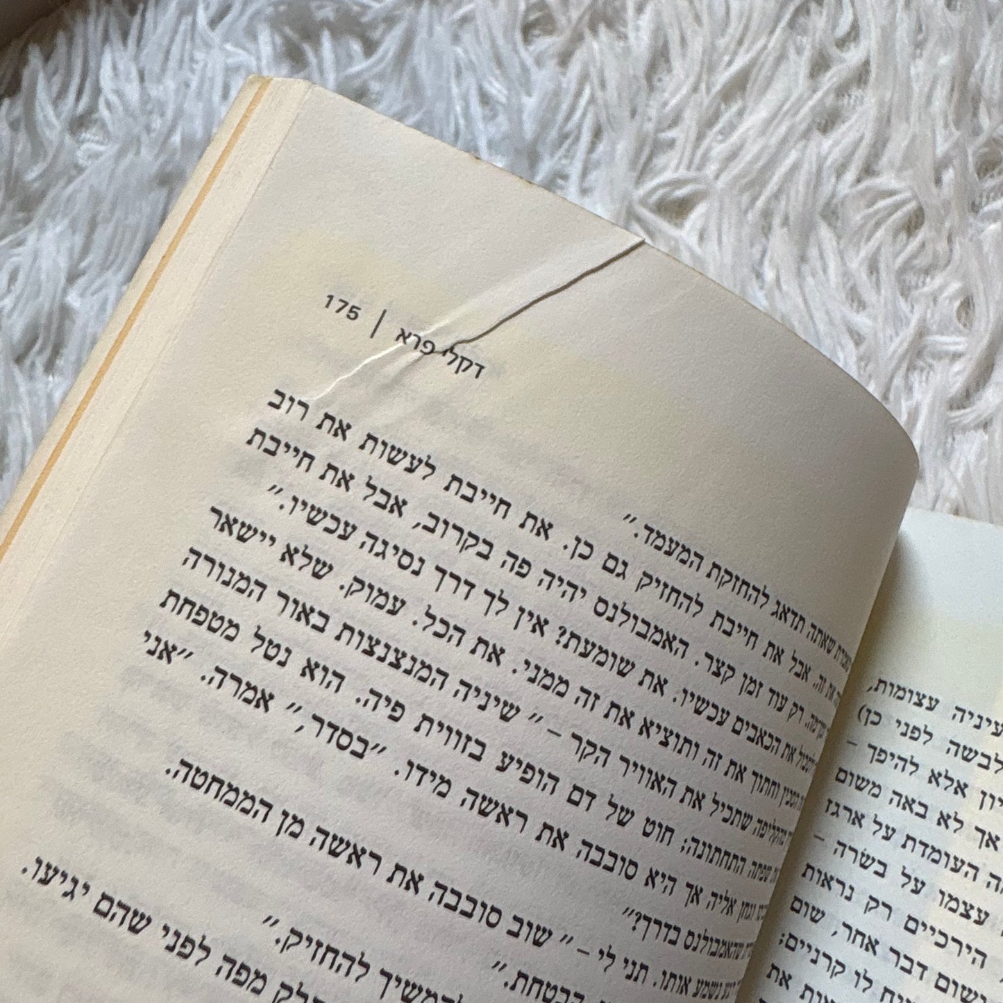 דקלי הפרא / ויליאם פוקנר