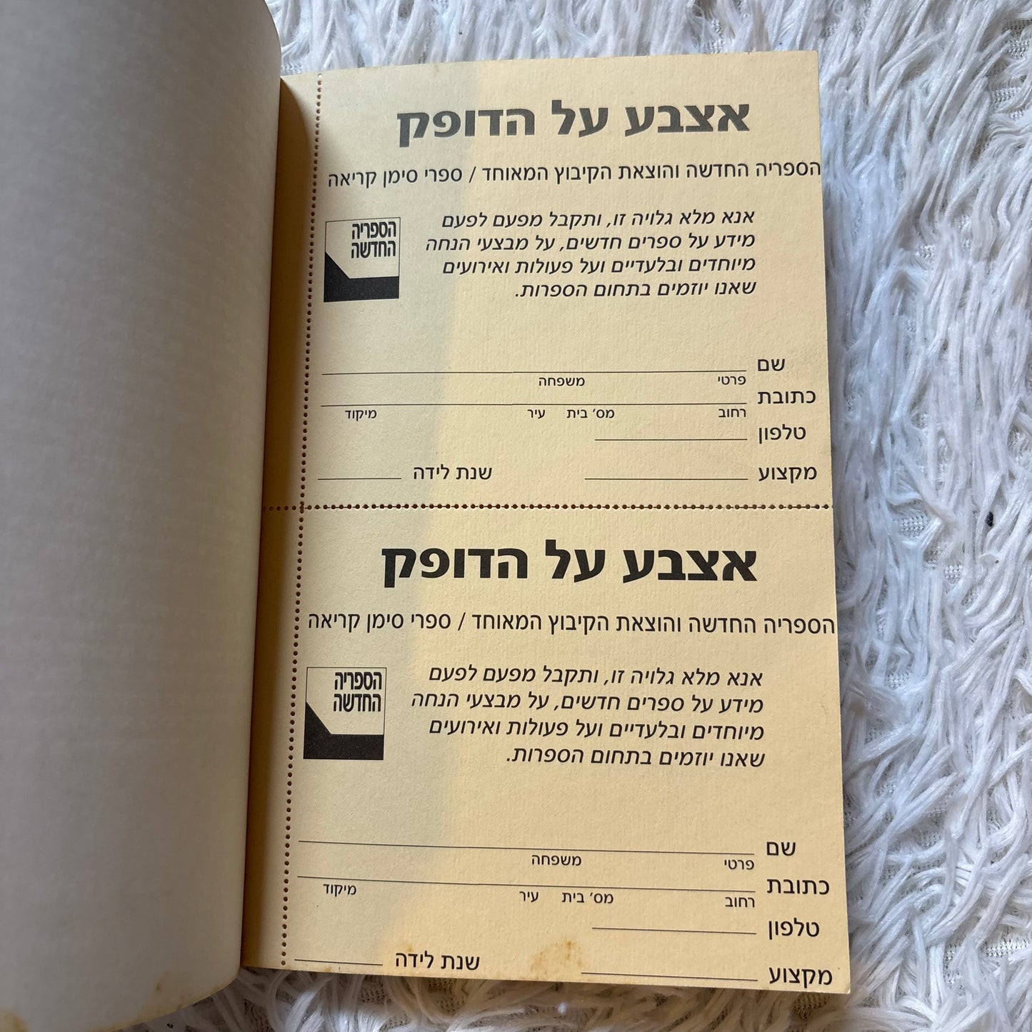 דקלי הפרא / ויליאם פוקנר