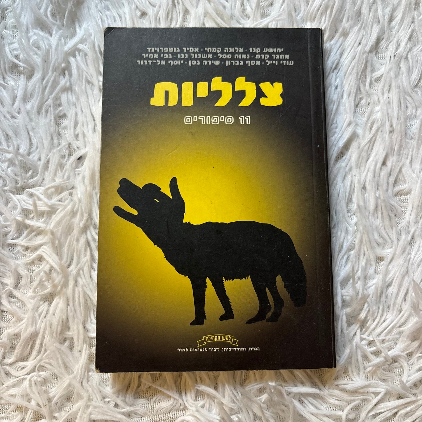 צלליות : 11 סיפורים / עריכה - אתגר קרת