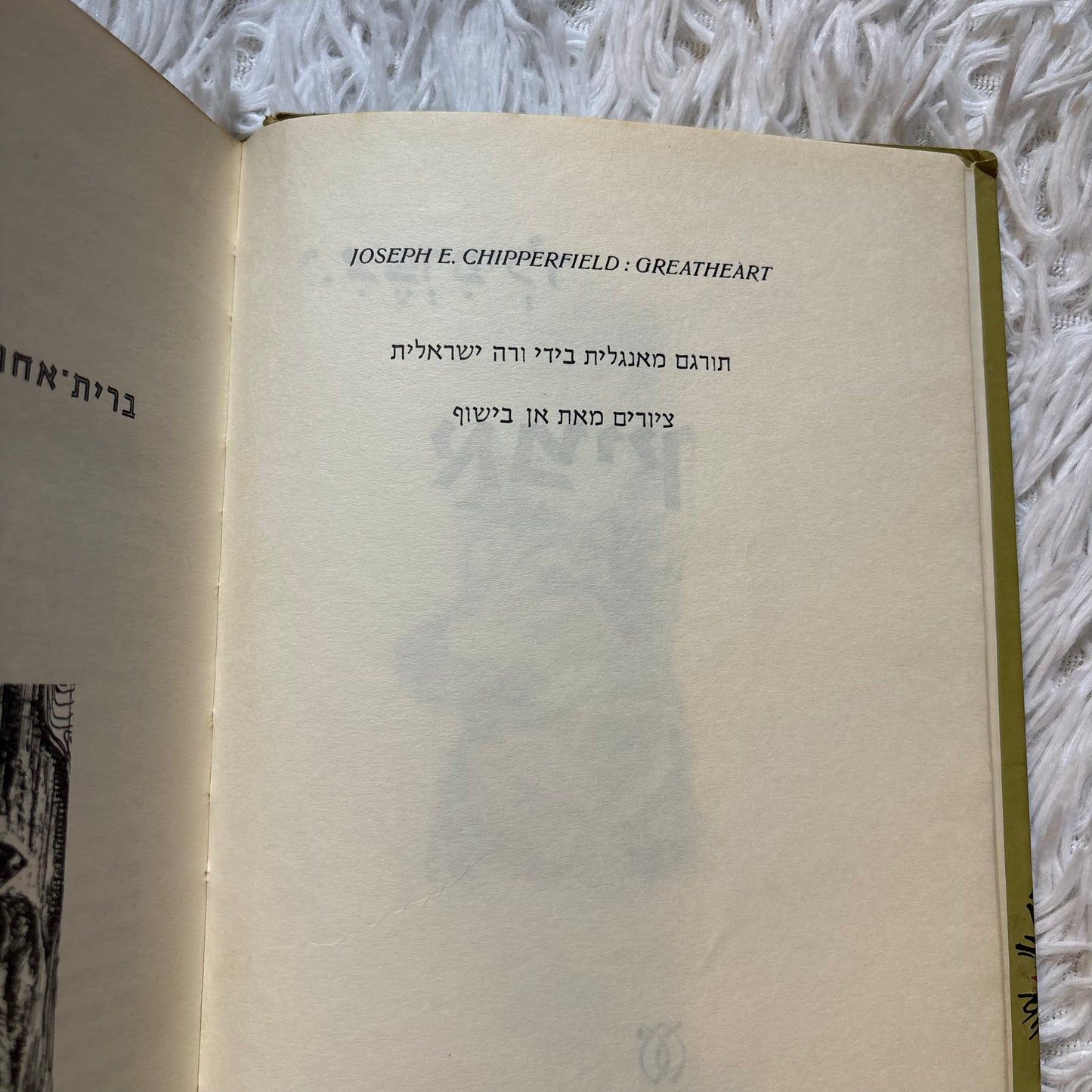אמיץ / י' צ'פרפילד