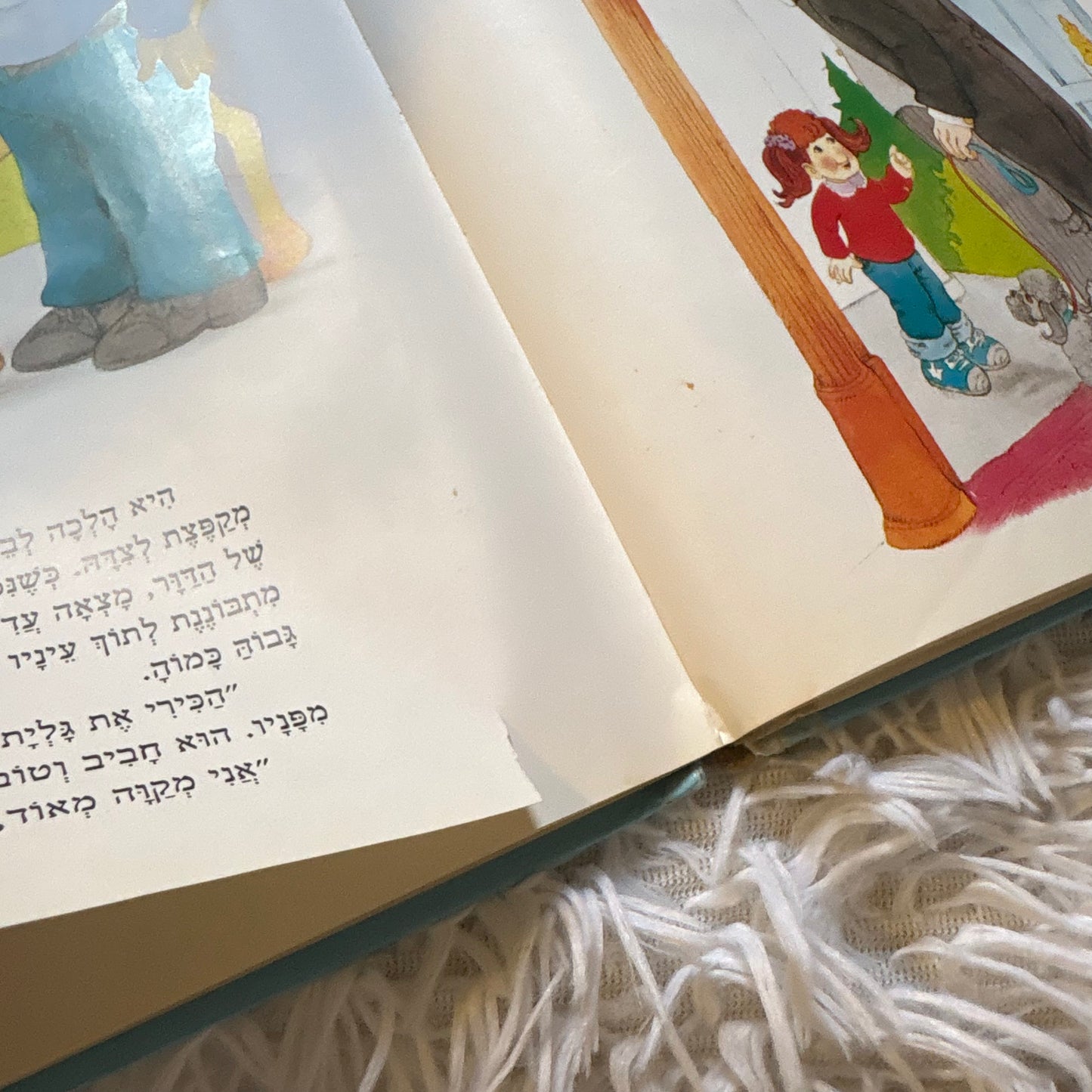 דודני'כפת לי / נוסח עברי - שפרירה זכאי