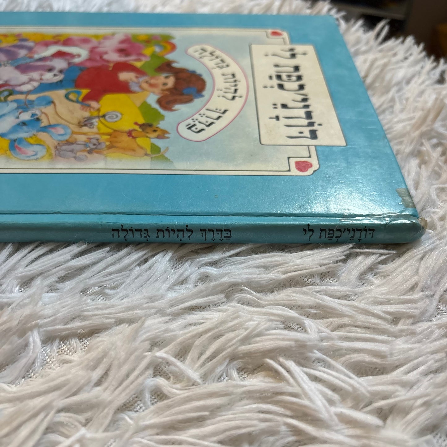 דודני'כפת לי / נוסח עברי - שפרירה זכאי