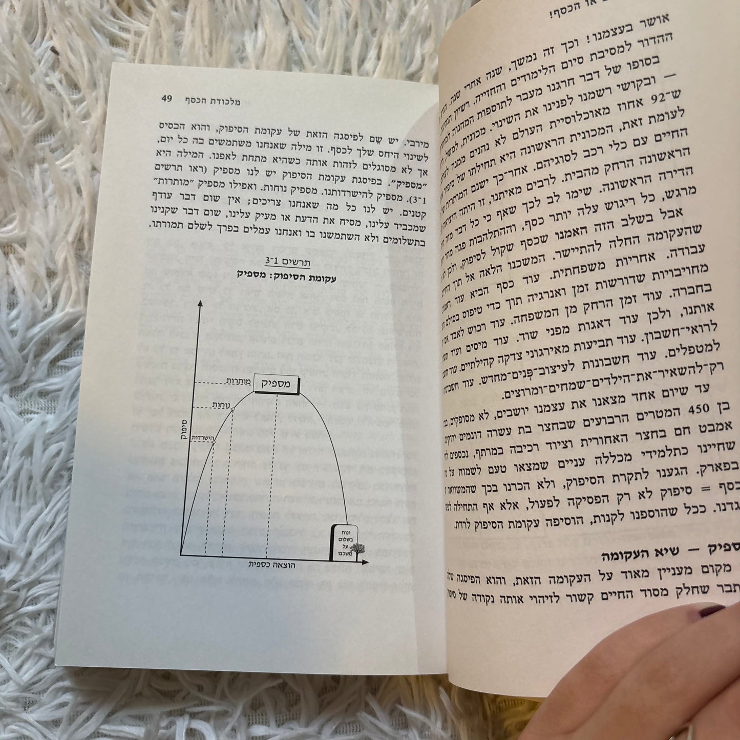החיים או הכסף! : 9 השלבים לשינוי היחס לכסף, השגת עצמאות כלכלית והגשמה עצמית / ג'ו דומינגז וויקי רובין